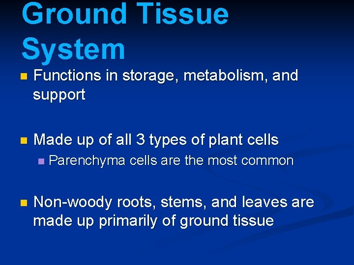Ground Tissue System n Functions in storage, metabolism, and support n Made up of