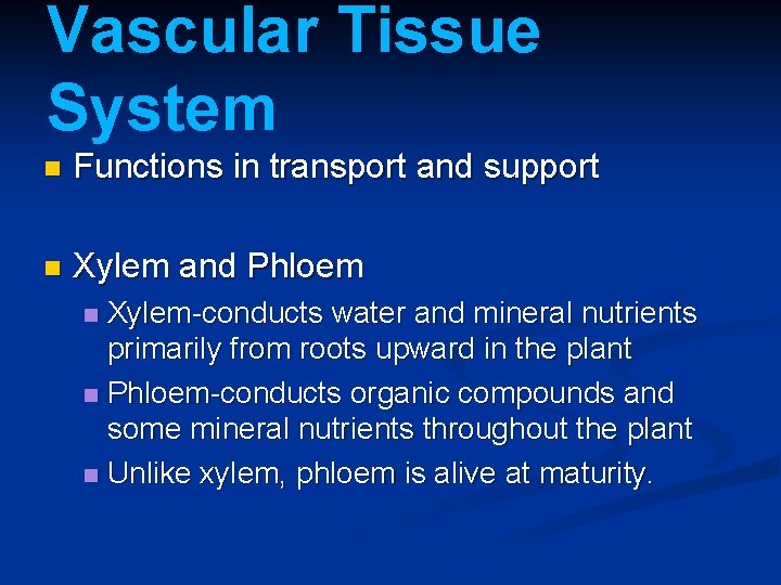 Vascular Tissue System n Functions in transport and support n Xylem and Phloem Xylem-conducts