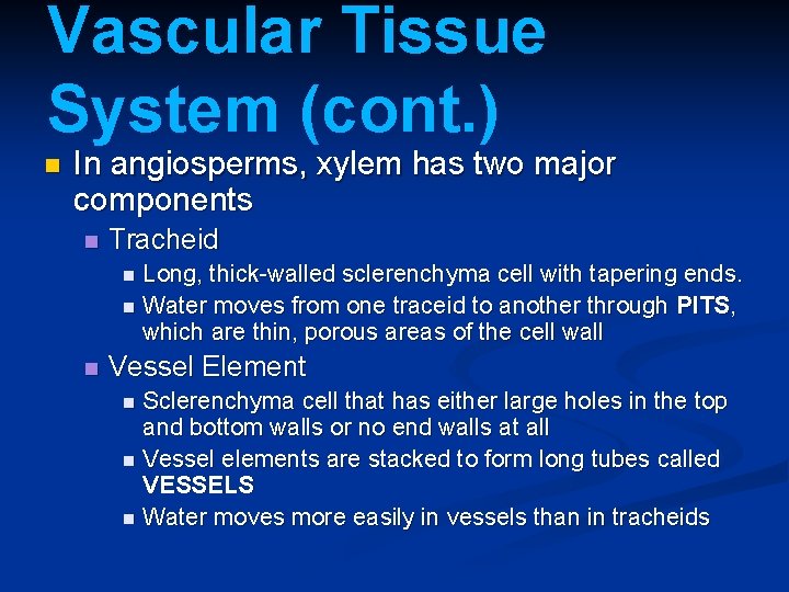 Vascular Tissue System (cont. ) n In angiosperms, xylem has two major components n