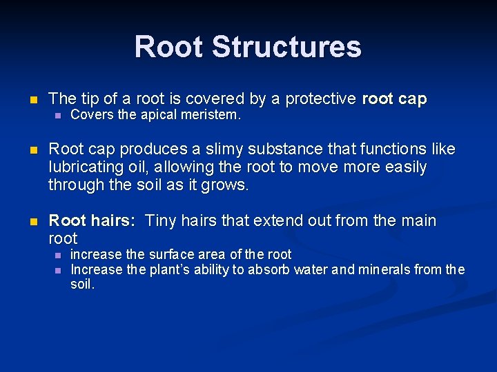 Root Structures n The tip of a root is covered by a protective root