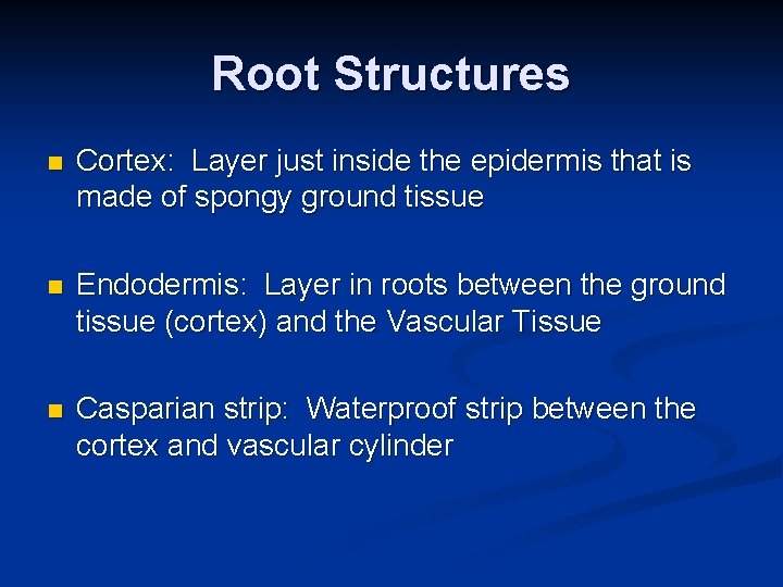 Root Structures n Cortex: Layer just inside the epidermis that is made of spongy
