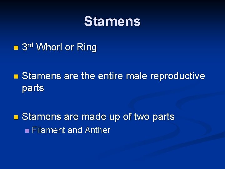 Stamens n 3 rd Whorl or Ring n Stamens are the entire male reproductive