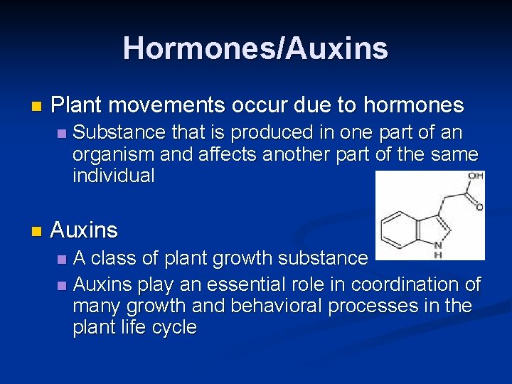Hormones/Auxins n Plant movements occur due to hormones n n Substance that is produced