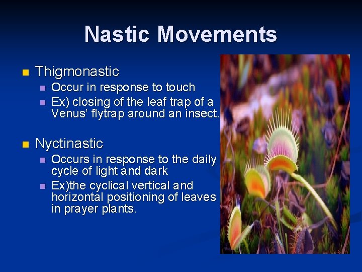 Nastic Movements n Thigmonastic n n n Occur in response to touch Ex) closing