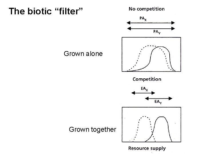 The biotic “filter” Grown alone Grown together 