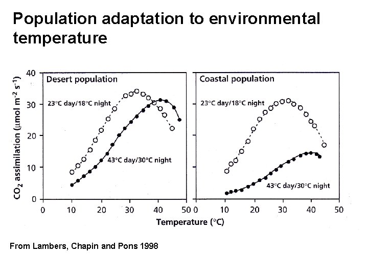 Population adaptation to environmental temperature From Lambers, Chapin and Pons 1998 