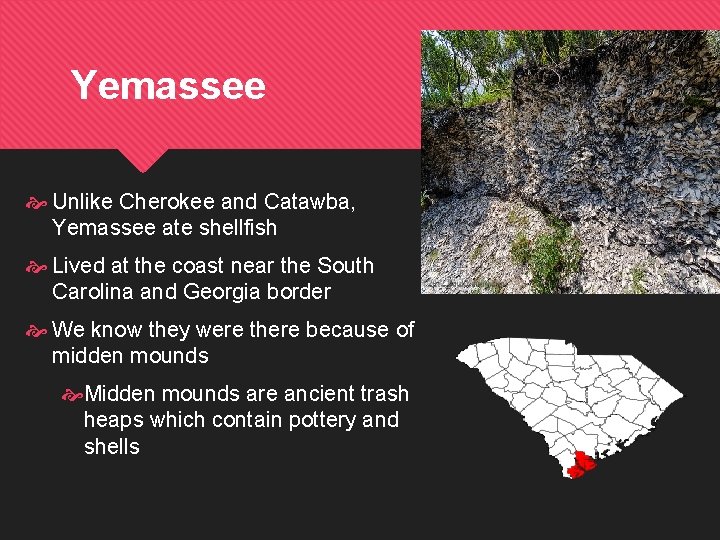 Yemassee Unlike Cherokee and Catawba, Yemassee ate shellfish Lived at the coast near the