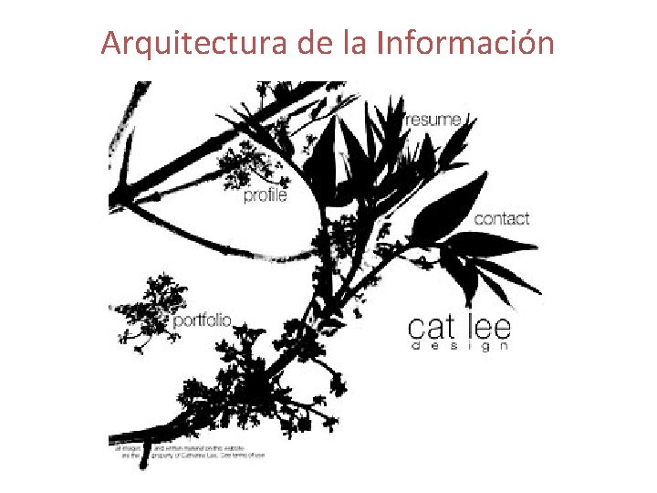 Arquitectura de la Información 