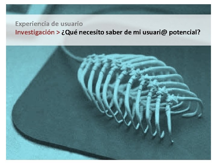 Experiencia de usuario Investigación > ¿Qué necesito saber de mi usuari@ potencial? 