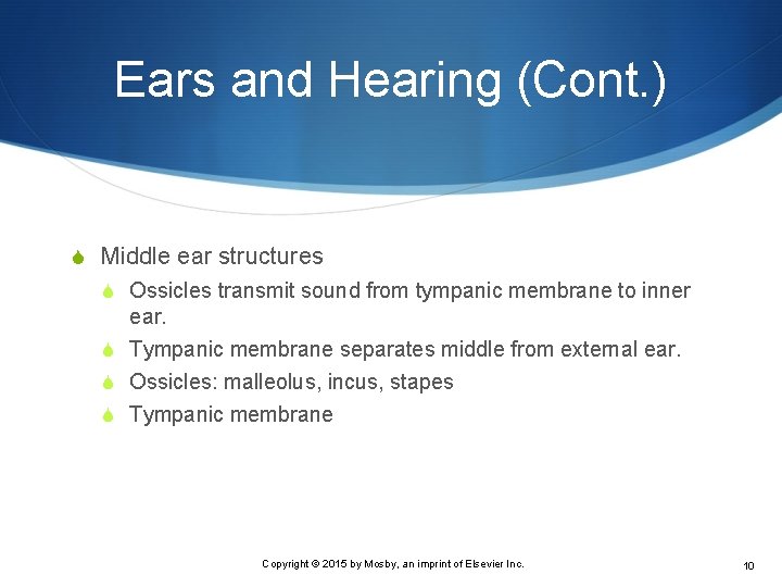 Ears and Hearing (Cont. ) S Middle ear structures S Ossicles transmit sound from