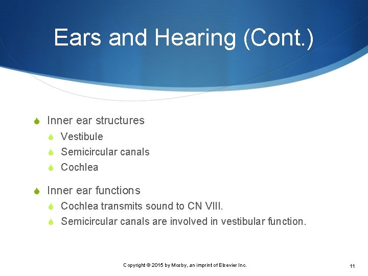 Ears and Hearing (Cont. ) S Inner ear structures S Vestibule S Semicircular canals