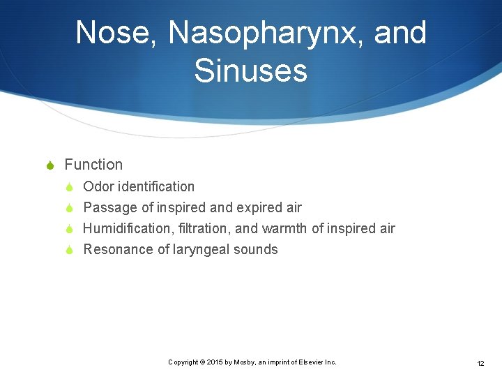 Nose, Nasopharynx, and Sinuses S Function S Odor identification S Passage of inspired and