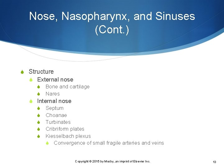 Nose, Nasopharynx, and Sinuses (Cont. ) S Structure S External nose S S Bone