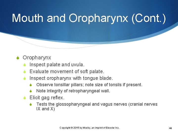 Mouth and Oropharynx (Cont. ) S Oropharynx S Inspect palate and uvula. S Evaluate