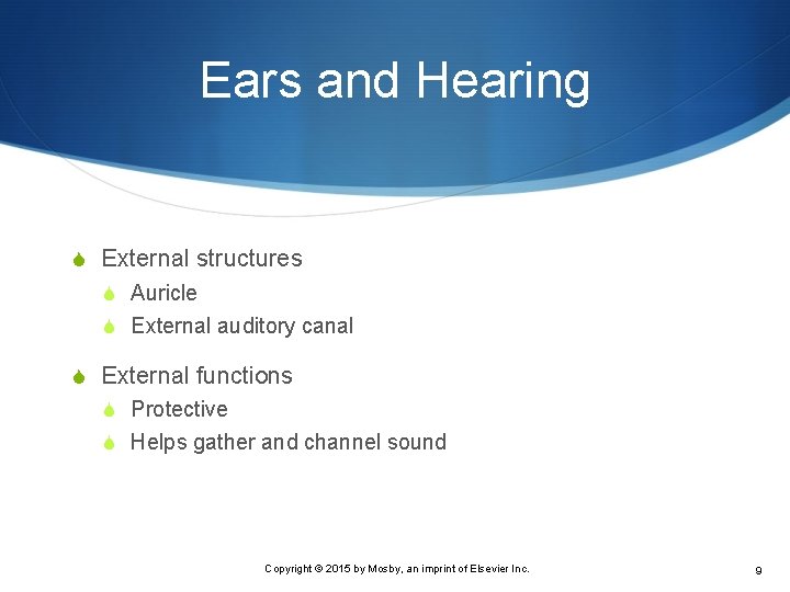 Ears and Hearing S External structures S Auricle S External auditory canal S External