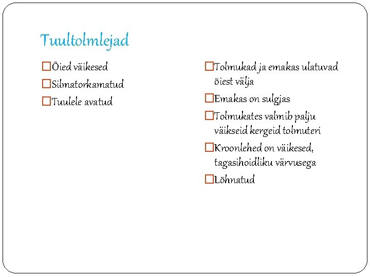 Tuultolmlejad �Õied väikesed �Silmatorkamatud �Tuulele avatud �Tolmukad ja emakas ulatuvad õiest välja �Emakas on