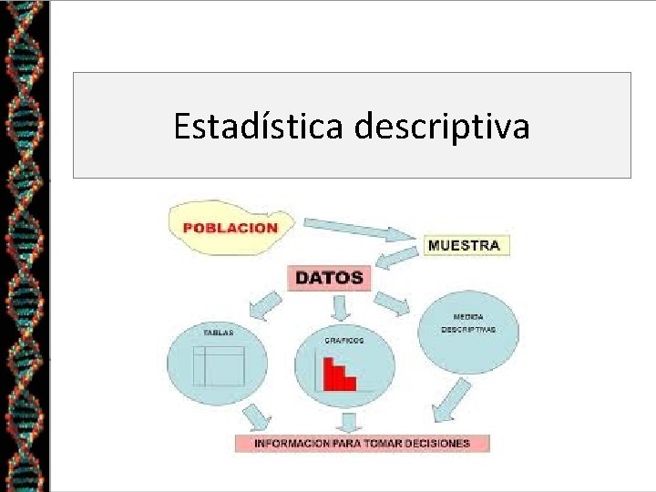 Estadística descriptiva 