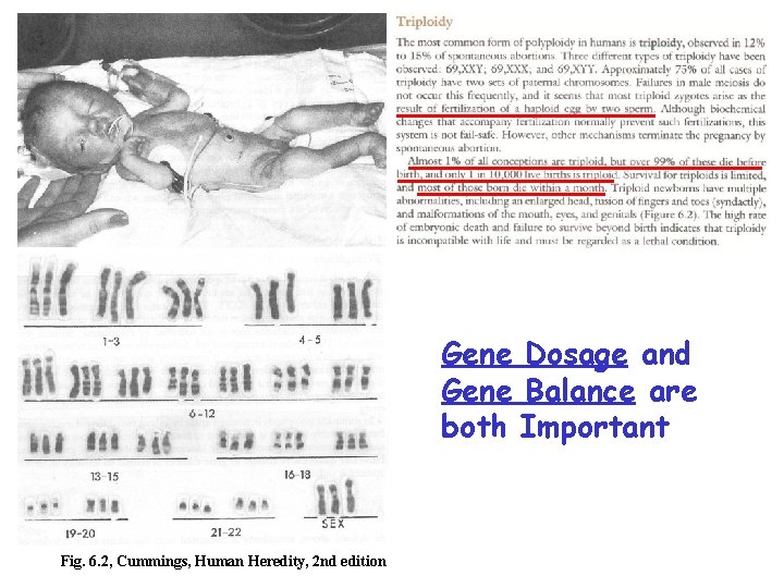 Gene Dosage and Gene Balance are both Important Fig. 6. 2, Cummings, Human Heredity,