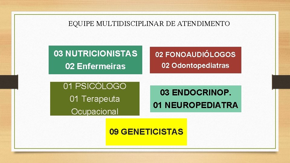 EQUIPE MULTIDISCIPLINAR DE ATENDIMENTO 03 NUTRICIONISTAS 02 Enfermeiras 01 PSICÓLOGO 01 Terapeuta Ocupacional 02