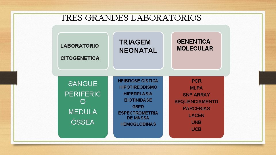 TRES GRANDES LABORATORIO TRIAGEM NEONATAL GENENTICA MOLECULAR HFIBROSE CISTICA HIPOTIREODISMO HIPERPLASIA PCR CITOGENETICA SANGUE