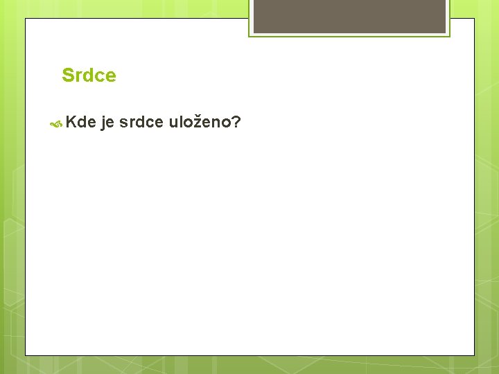 Srdce Kde je srdce uloženo? 