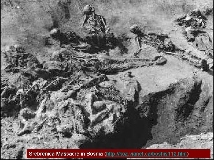 Srebrenica Massacre in Bosnia (http: //koz. vianet. ca/boshis 112. htm) Srebrenica Massacre in Bosnia (http: //koz. vianet. ca/boshis 112. htm)