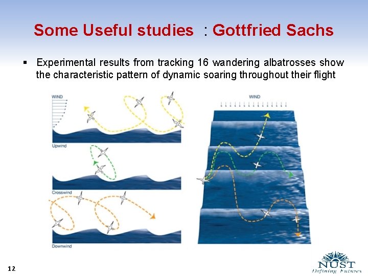 Some Useful studies : Gottfried Sachs § Experimental results from tracking 16 wandering albatrosses