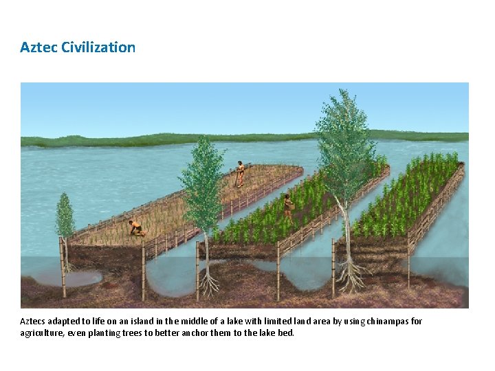 Aztec Civilization Aztecs adapted to life on an island in the middle of a