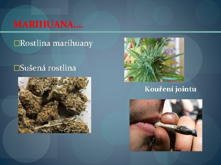 MARIHUANA…. �Rostlina marihuany �Sušená rostlina Kouření jointu 