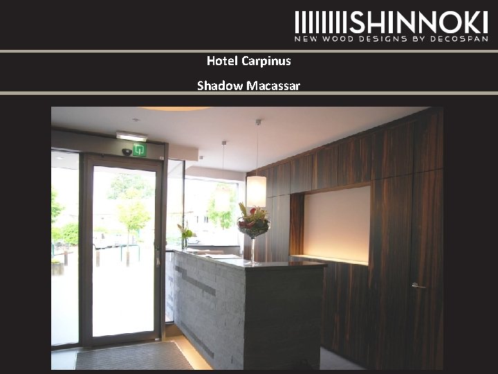 Hotel Carpinus Shadow Macassar Hotel Carpinus Shadow Macassar