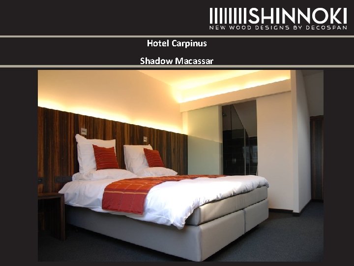 Hotel Carpinus Shadow Macassar Hotel Carpinus Shadow Macassar