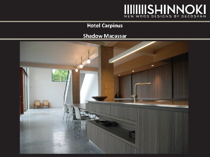 Hotel Carpinus Shadow Macassar Hotel Carpinus Shadow Macassar
