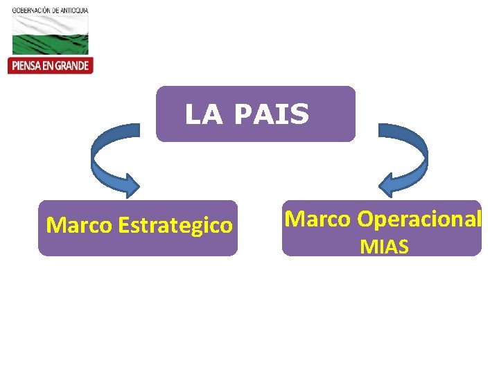 LA PAIS Marco Estrategico Marco Operacional MIAS 