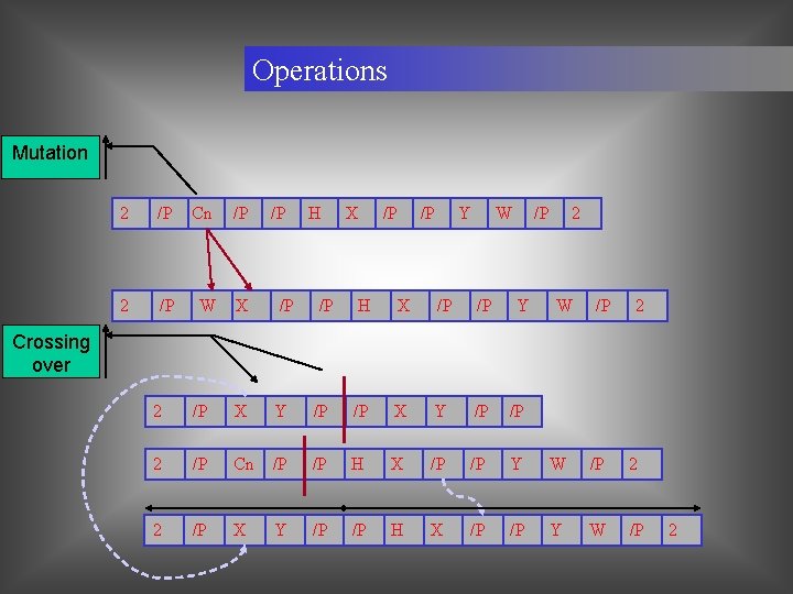 Operations Mutation 2 /P Cn /P 2 /P W X /P /P H /P