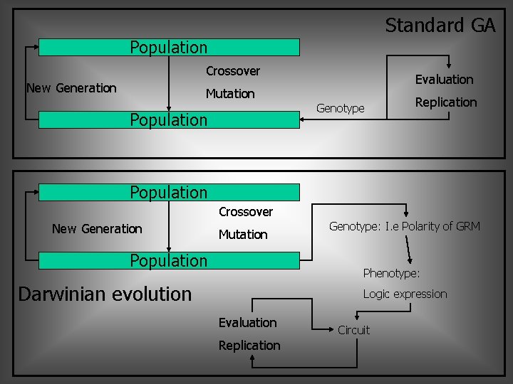 Standard GA Population Crossover New Generation Mutation Population Evaluation Genotype Replication Population Crossover New