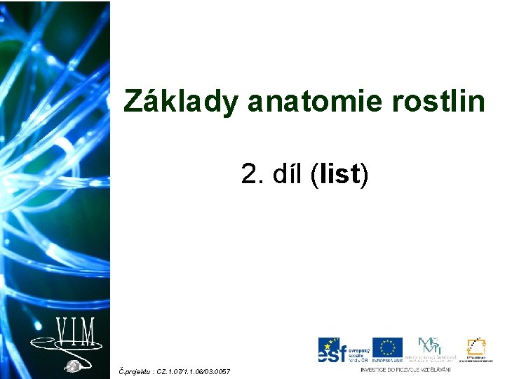 Základy anatomie rostlin 2. díl (list) Č. projektu : CZ. 1. 07/1. 1. 06/03.