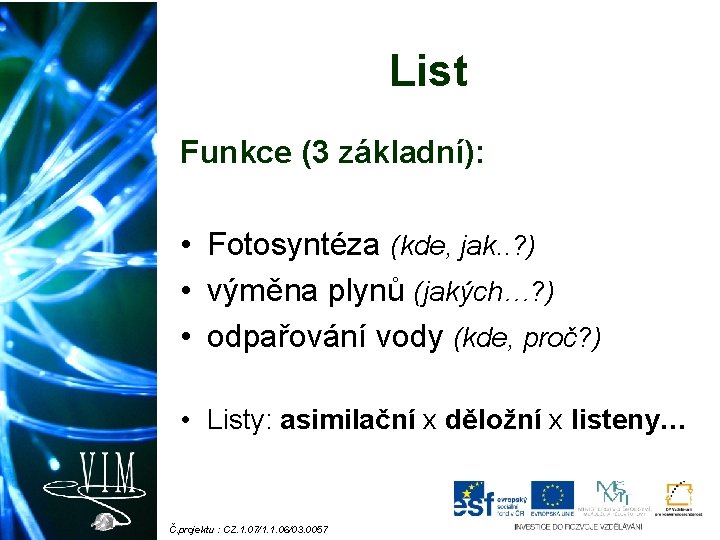 List Funkce (3 základní): • Fotosyntéza (kde, jak. . ? ) • výměna plynů