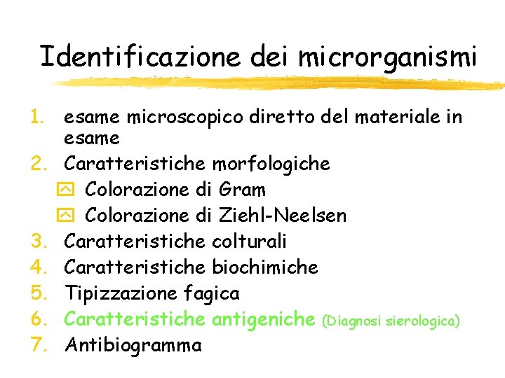 Identificazione dei microrganismi 1. esame microscopico diretto del materiale in esame 2. Caratteristiche morfologiche Identificazione dei microrganismi 1. esame microscopico diretto del materiale in esame 2. Caratteristiche morfologiche