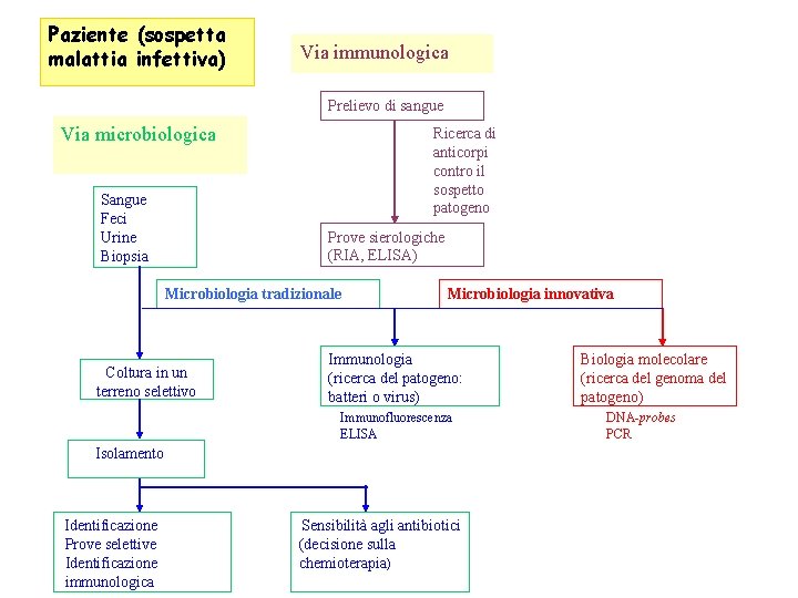 Paziente (sospetta malattia infettiva) Via immunologica Prelievo di sangue Via microbiologica Sangue Feci Urine Paziente (sospetta malattia infettiva) Via immunologica Prelievo di sangue Via microbiologica Sangue Feci Urine