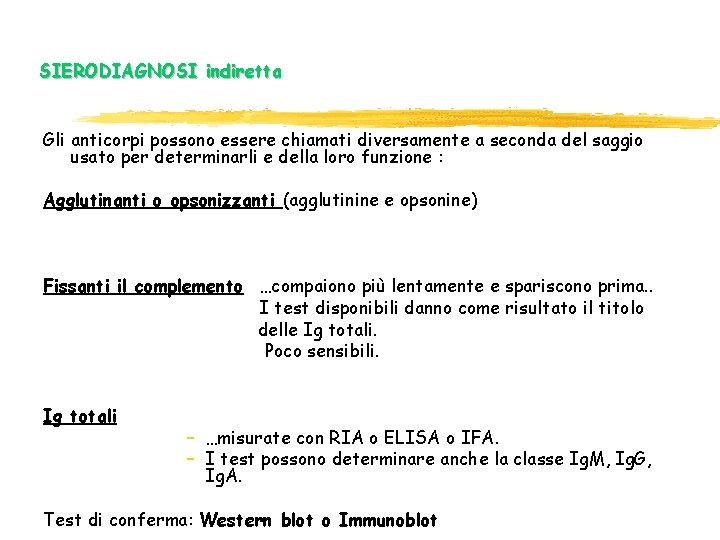 SIERODIAGNOSI indiretta Gli anticorpi possono essere chiamati diversamente a seconda del saggio usato per SIERODIAGNOSI indiretta Gli anticorpi possono essere chiamati diversamente a seconda del saggio usato per