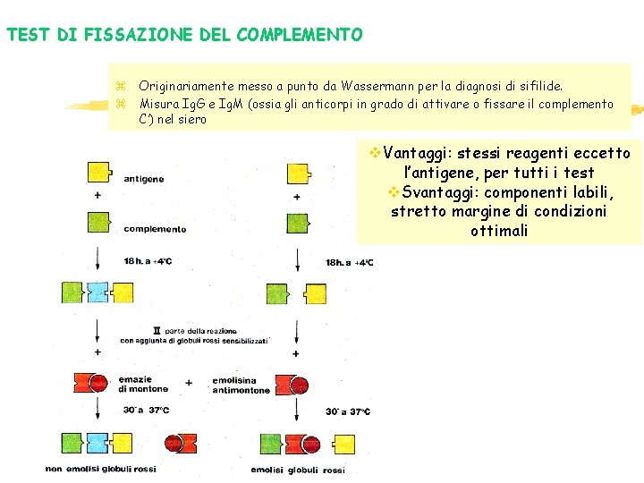 TEST DI FISSAZIONE DEL COMPLEMENTO z Originariamente messo a punto da Wassermann per la TEST DI FISSAZIONE DEL COMPLEMENTO z Originariamente messo a punto da Wassermann per la