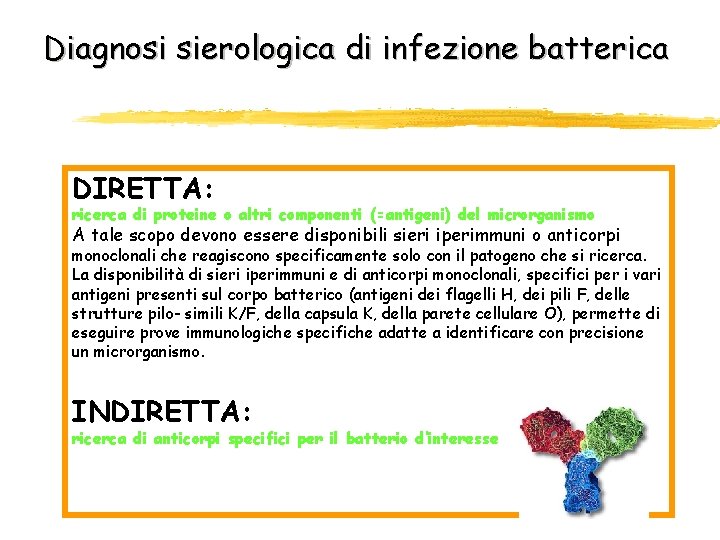 Diagnosi sierologica di infezione batterica DIRETTA: ricerca di proteine o altri componenti (=antigeni) del Diagnosi sierologica di infezione batterica DIRETTA: ricerca di proteine o altri componenti (=antigeni) del