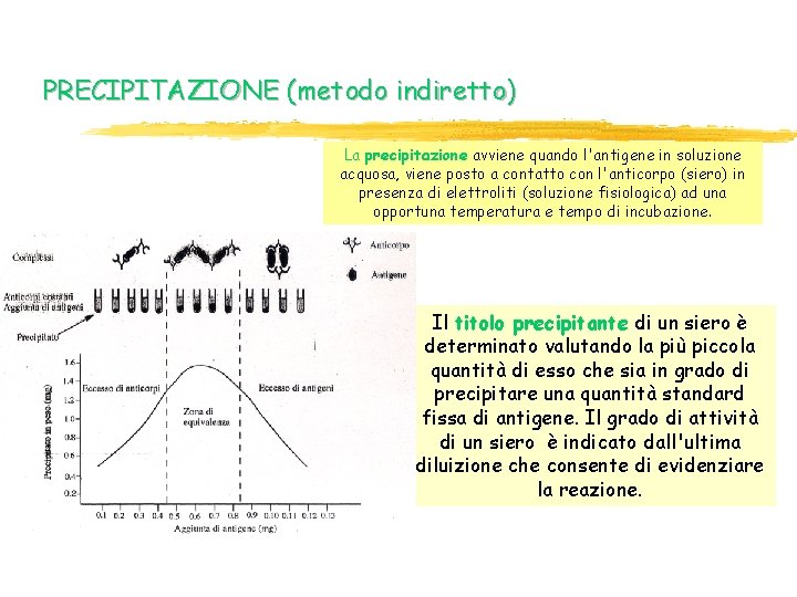 PRECIPITAZIONE (metodo indiretto) La precipitazione avviene quando l'antigene in soluzione acquosa, viene posto a PRECIPITAZIONE (metodo indiretto) La precipitazione avviene quando l'antigene in soluzione acquosa, viene posto a