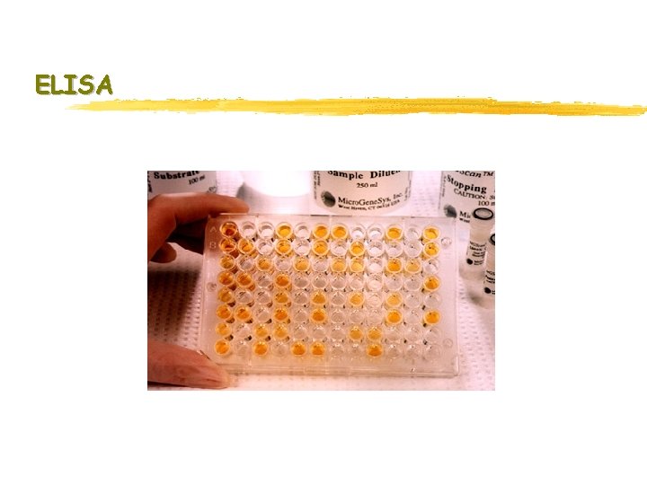 ELISA ELISA