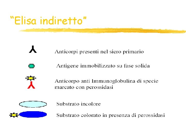 “Elisa indiretto” “Elisa indiretto”