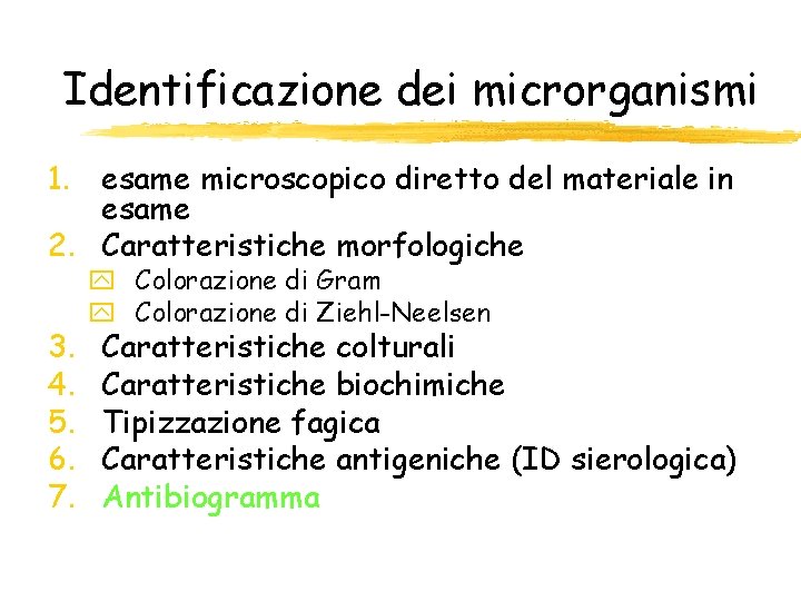 Identificazione dei microrganismi 1. esame microscopico diretto del materiale in esame 2. Caratteristiche morfologiche Identificazione dei microrganismi 1. esame microscopico diretto del materiale in esame 2. Caratteristiche morfologiche