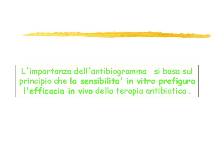 L'importanza dell'antibiogramma si basa sul principio che la sensibilita' in vitro prefigura l'efficacia in L'importanza dell'antibiogramma si basa sul principio che la sensibilita' in vitro prefigura l'efficacia in