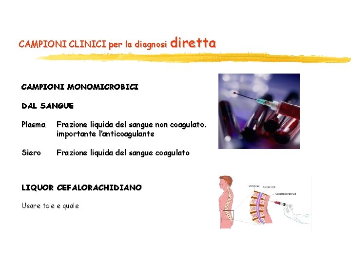 CAMPIONI CLINICI per la diagnosi diretta CAMPIONI MONOMICROBICI DAL SANGUE Plasma Frazione liquida del CAMPIONI CLINICI per la diagnosi diretta CAMPIONI MONOMICROBICI DAL SANGUE Plasma Frazione liquida del