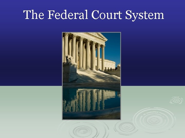 The Federal Court System 