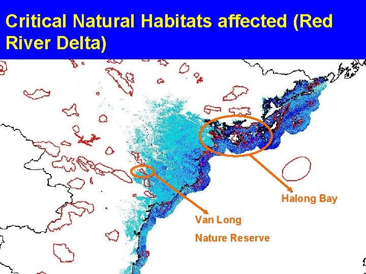 Critical Natural Habitats affected (Red River Delta) Halong Bay Van Long Nature Reserve 